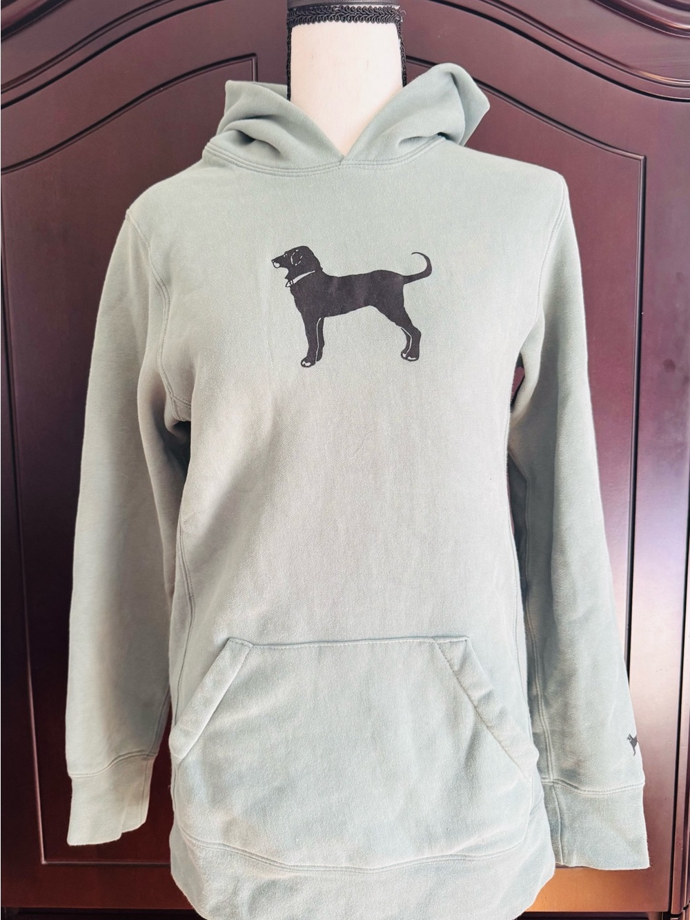 The Black Dog Sage Green Pullover Hoodie with Black Dog Graphic